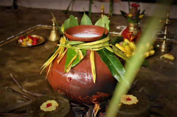 Bring in the Tamil New Year with Oateo Oats Pongal