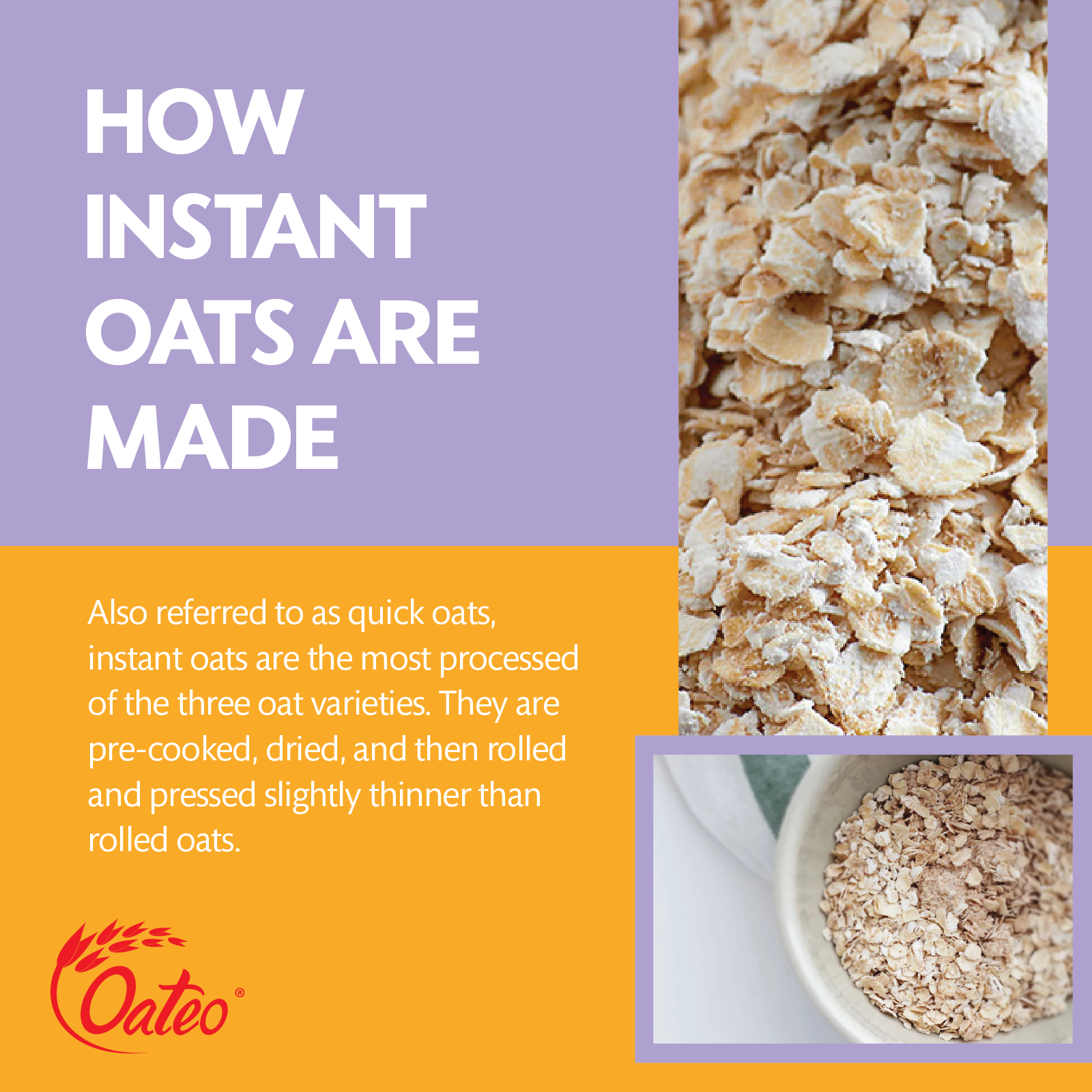 Instant Oats _Web Post-01