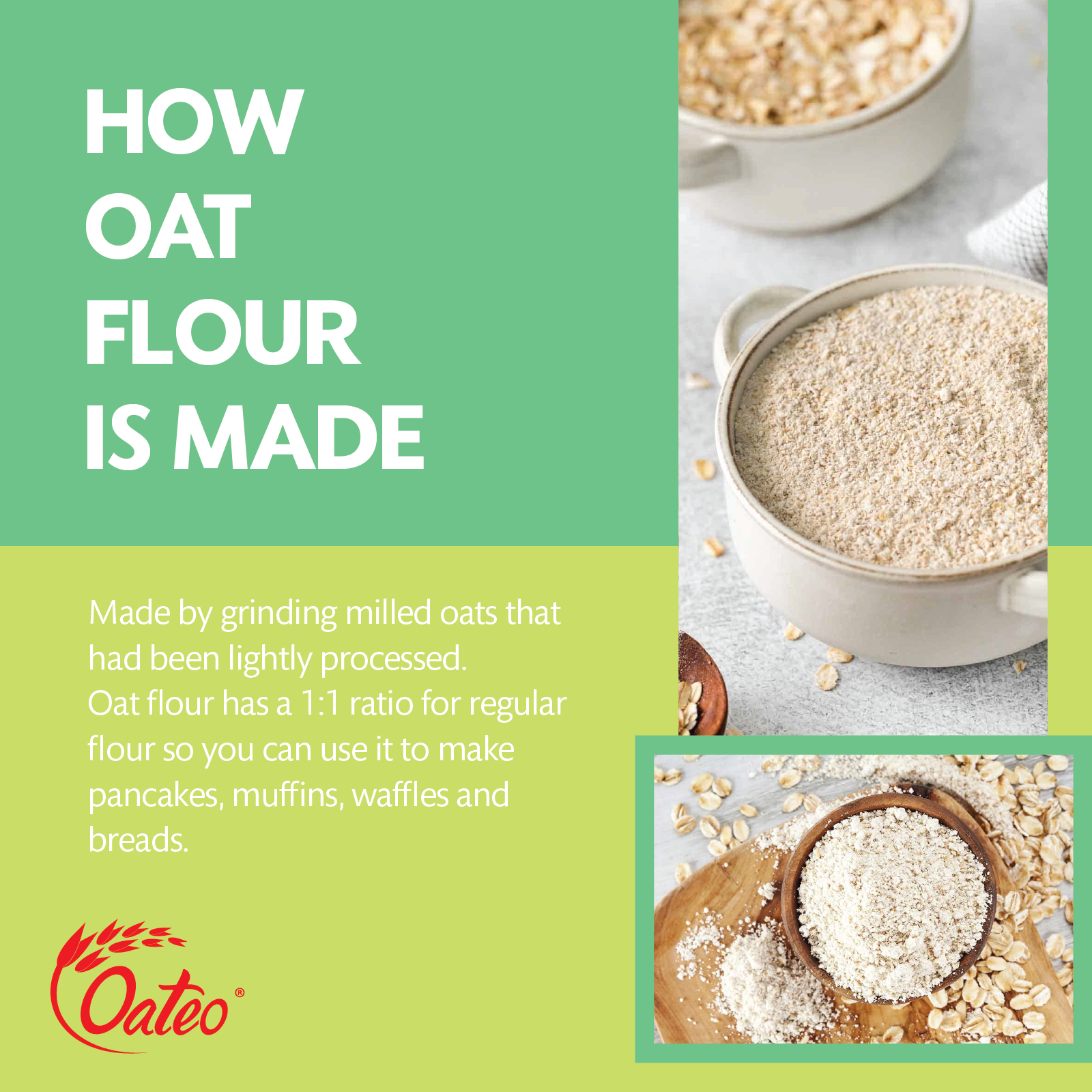 Oats Flour _Web Post-01