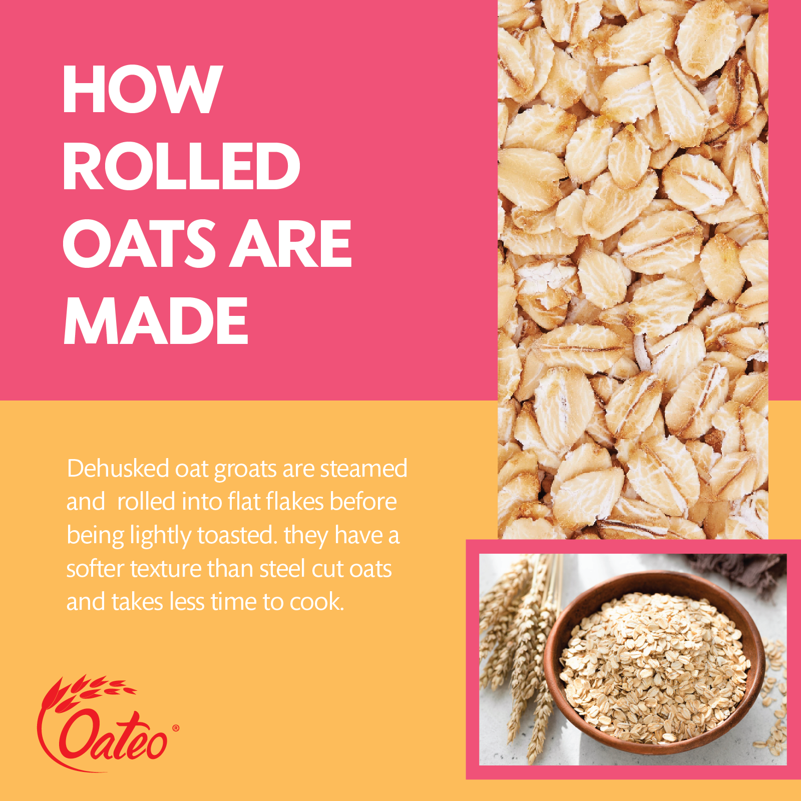 Rolled Oats-01