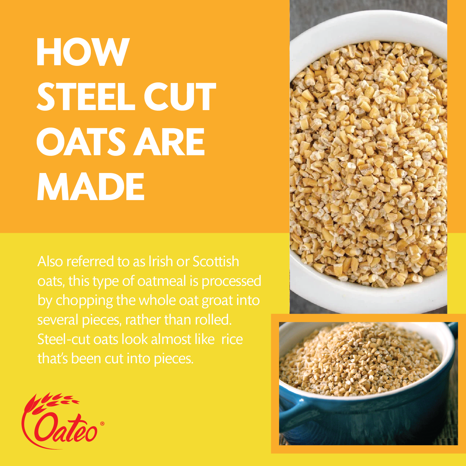 Steel Cut Oats _Web Post-01